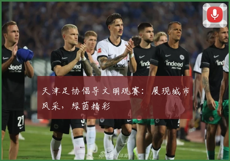 天津足协倡导文明观赛：展现城市风采，绿茵精彩