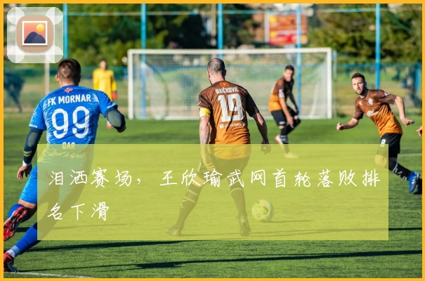 泪洒赛场，王欣瑜武网首轮落败排名下滑
