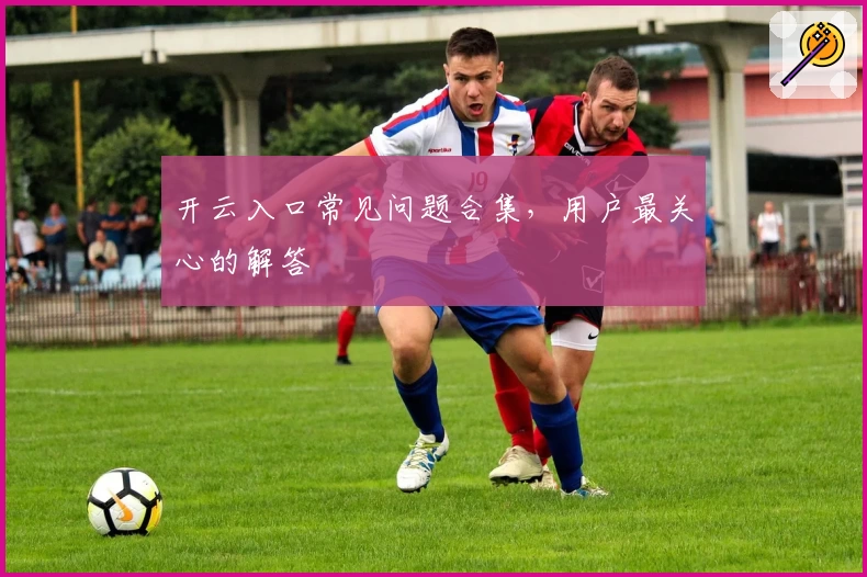 开云入口常见问题合集，用户最关心的解答