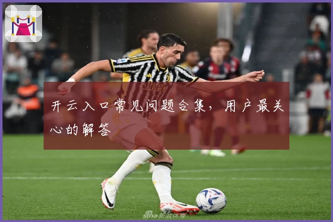 开云入口常见问题合集，用户最关心的解答