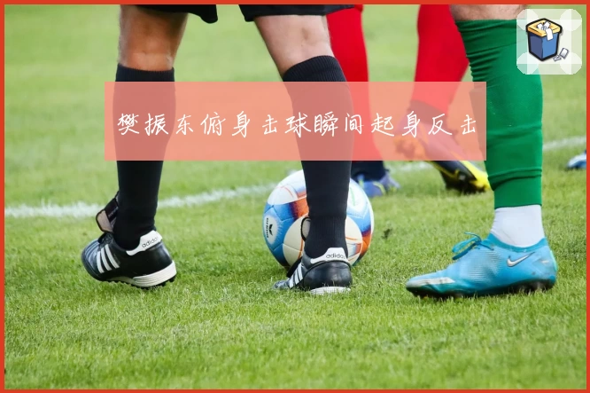 樊振东俯身击球瞬间起身反击