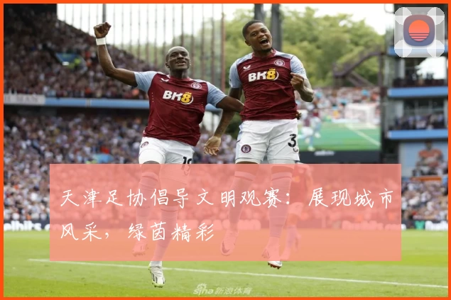 天津足协倡导文明观赛：展现城市风采，绿茵精彩
